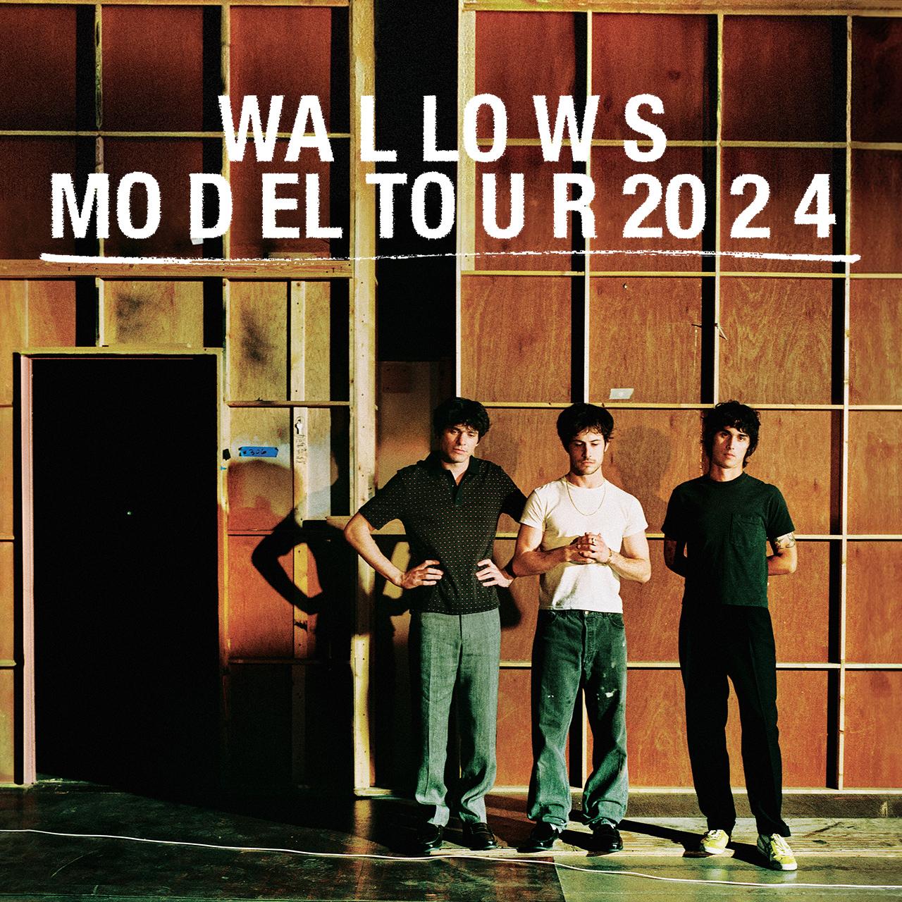 Wallows - Model Tour Promo